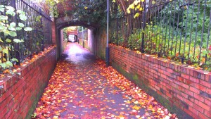 Fall colours in the passageway through the Jephson Gardens in Leamington Spa.