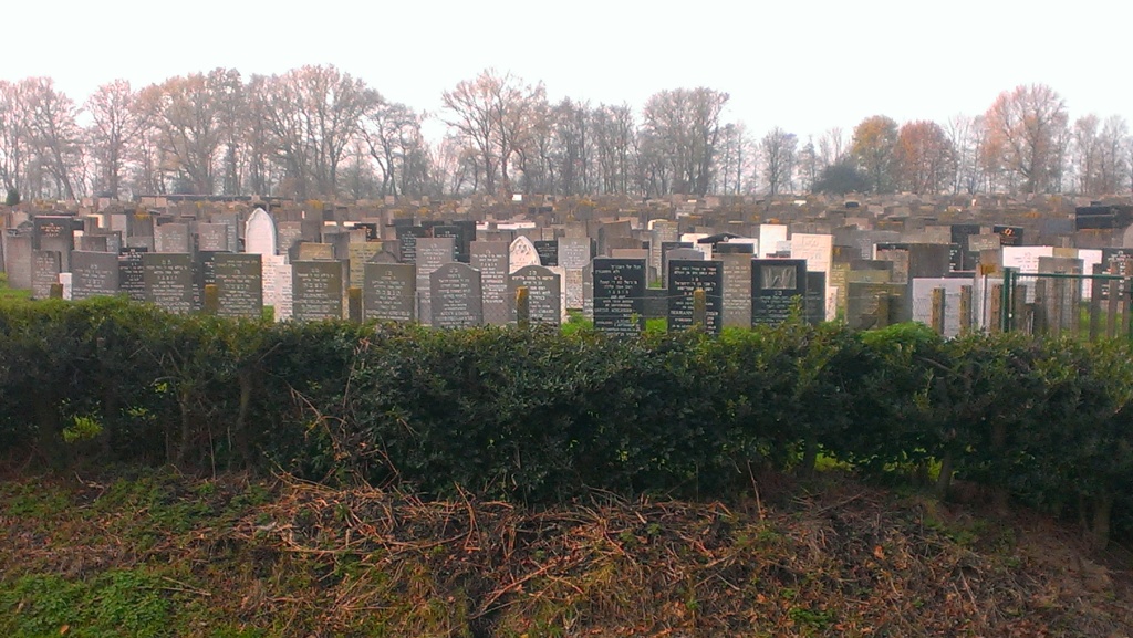 View of the cemetery from the road.