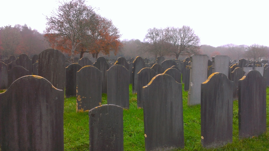 The view from Simon van Norden's grave: looking the other way.