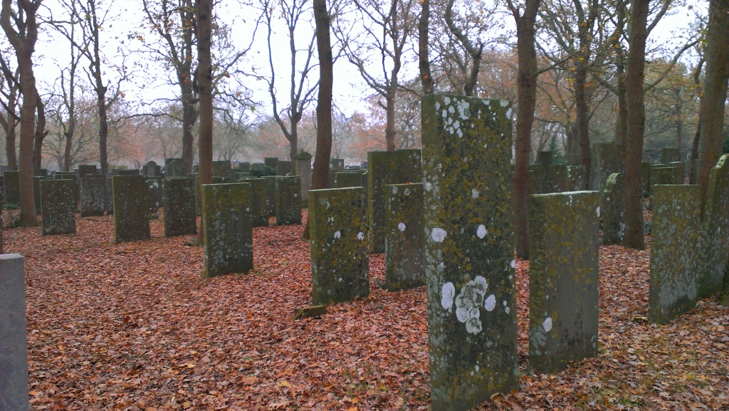An older section of the cemetery, with trees and holly bushes.