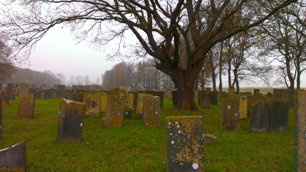 The tree on the grave of Simon van Norden the Elder.